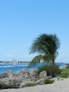 2012 June Key West 173